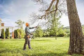 How Our Tree Care Process Works  in  Pineland, TX
