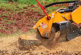 Best Leaf Removal  in Pineland, TX